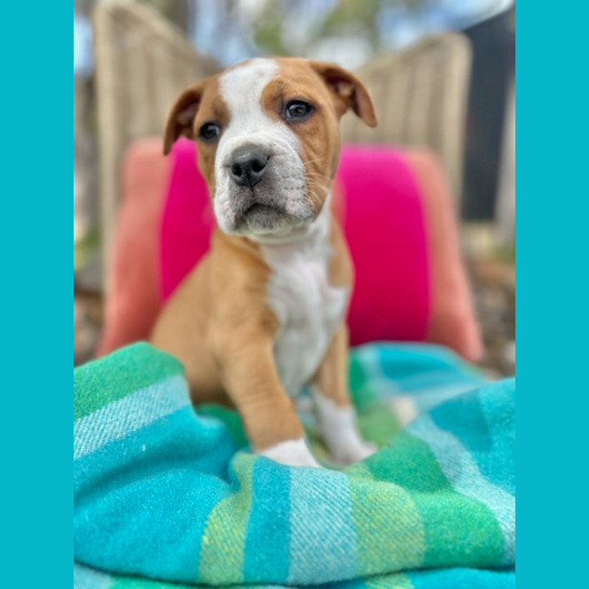 Photo of Swatch