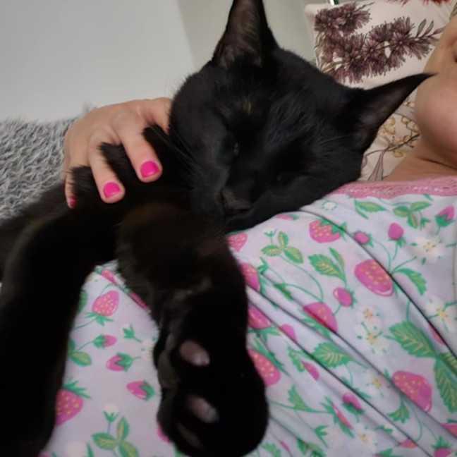Photo of Lestat   Located In Preston