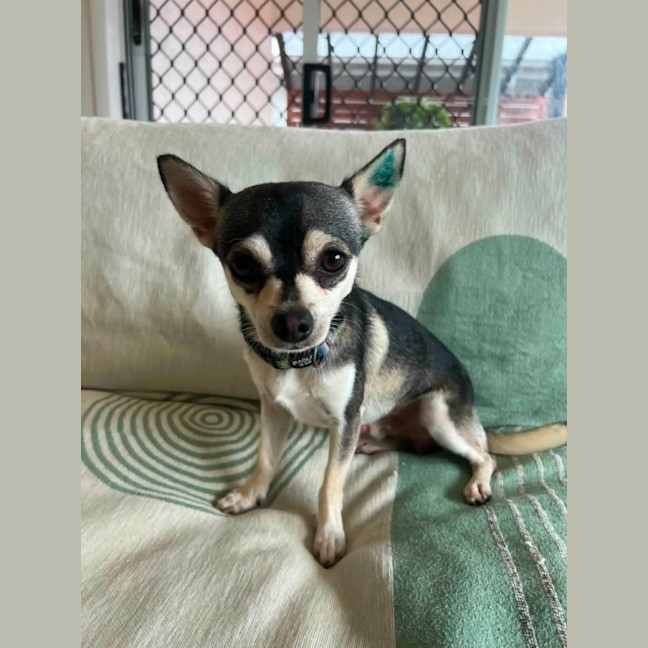 Photo of Pablo