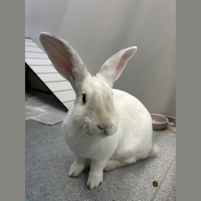 Photo of Barry