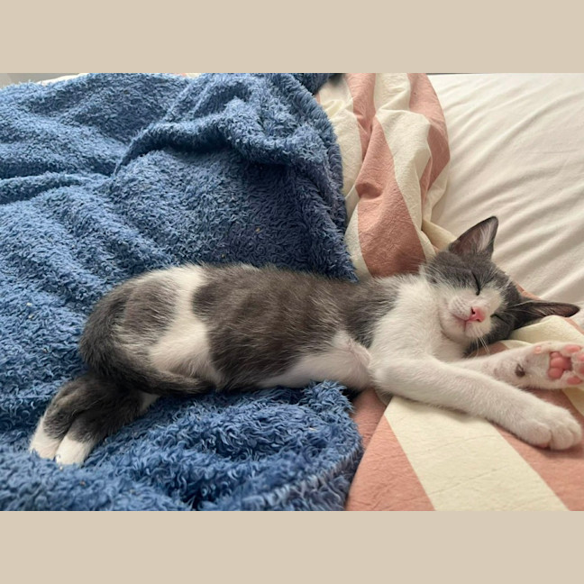 Photo of Eloise