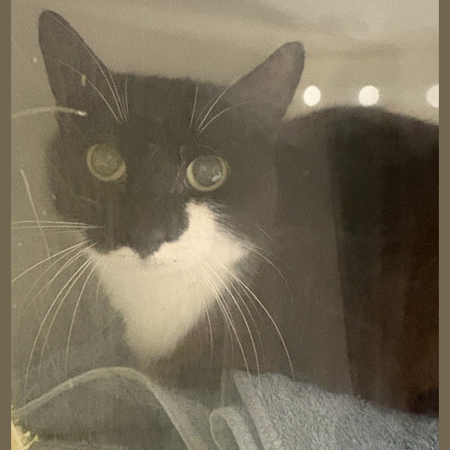 Photo of Evie Dwelly