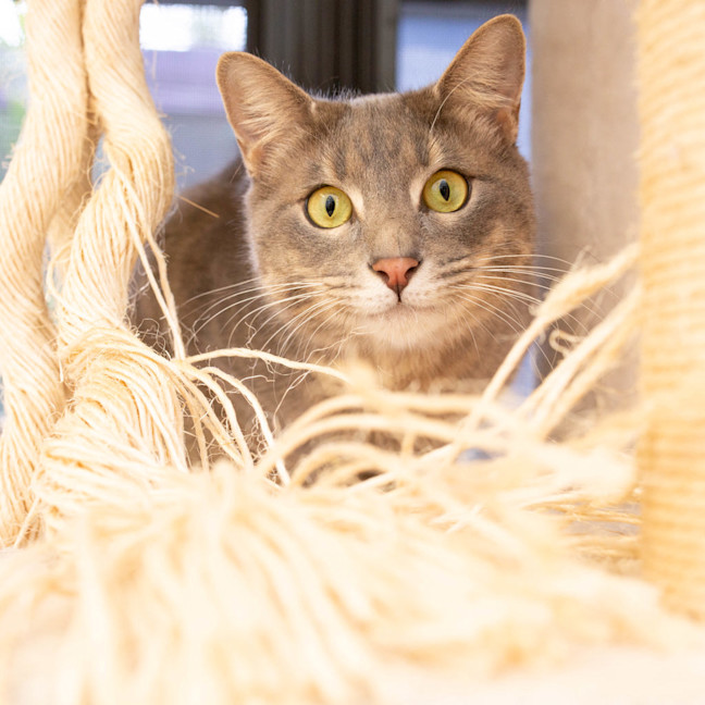 Photo of Max
