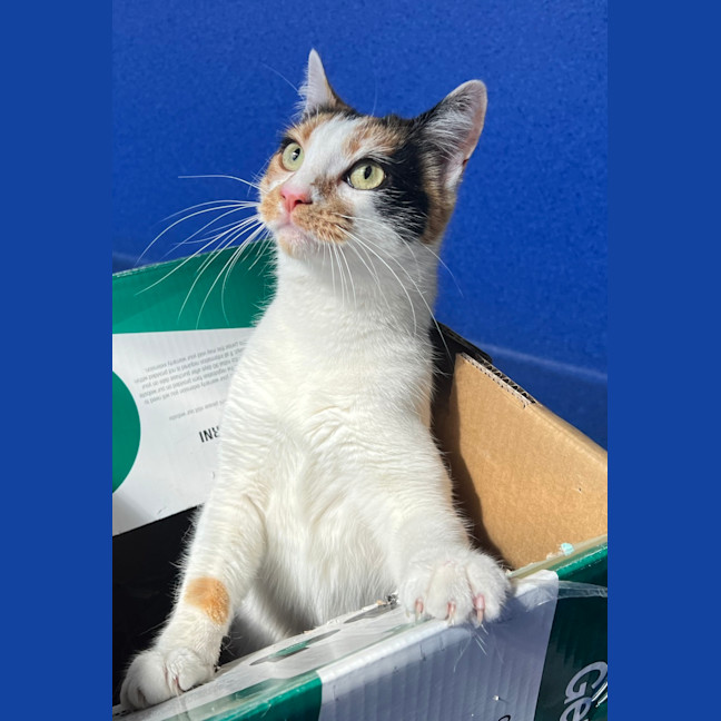 Photo of Madam