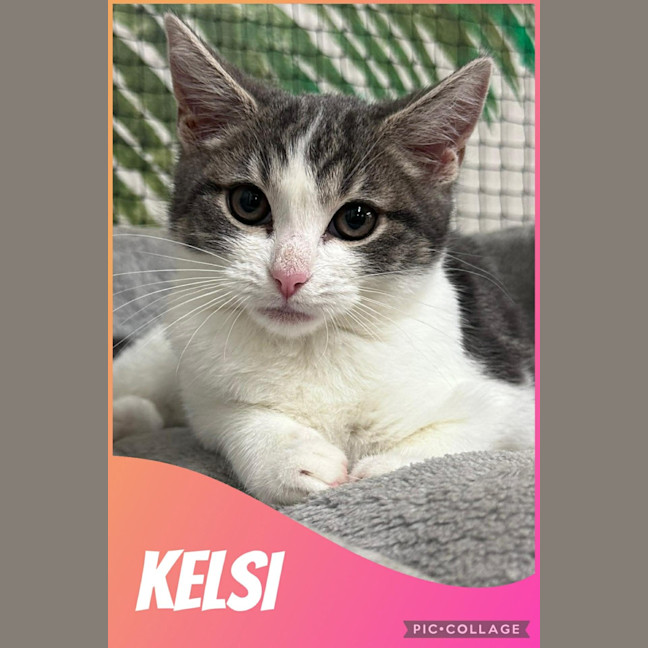Photo of Kelsi
