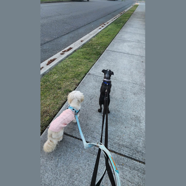 Photo of Chloe 