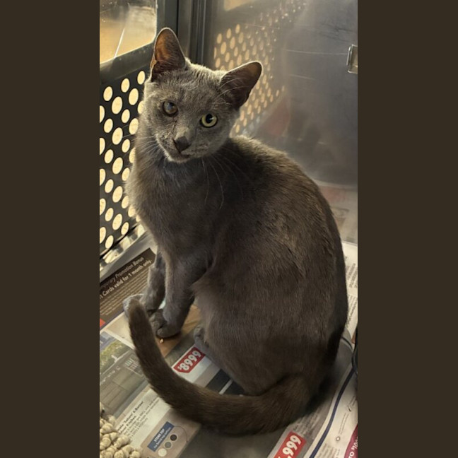 Photo of Alastor