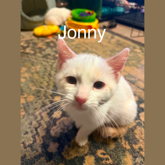 Photo of Jonny 