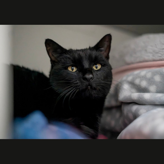 Photo of Enid