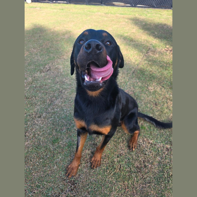 Photo of Zeus