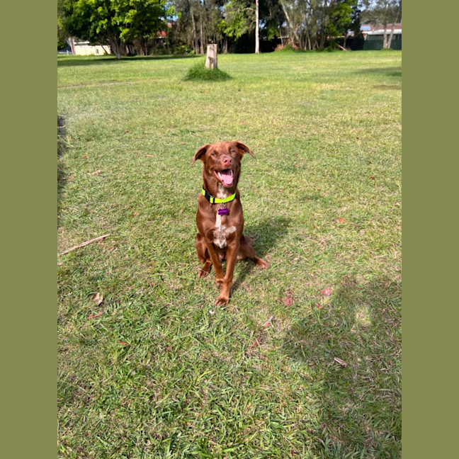 Photo of Remi