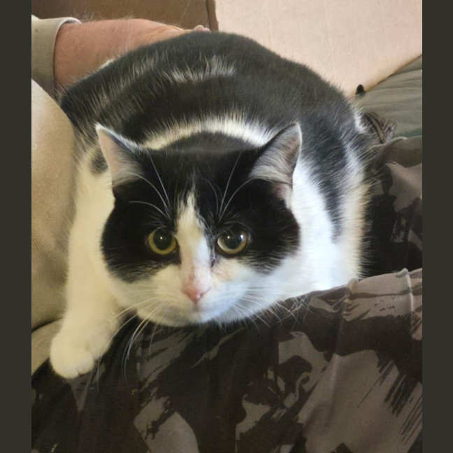 Photo of Luna