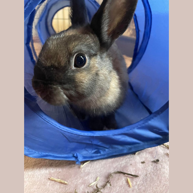 Photo of Betty Ciela