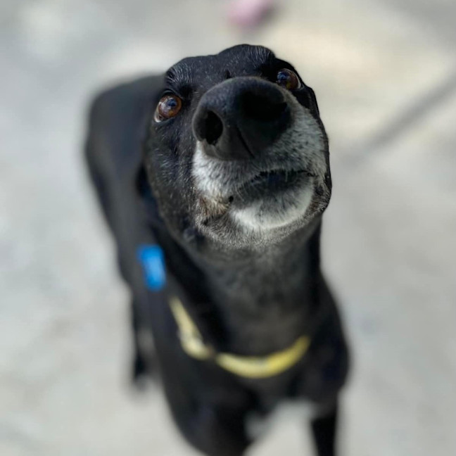 Photo of Ria (Prev. Fragaria)