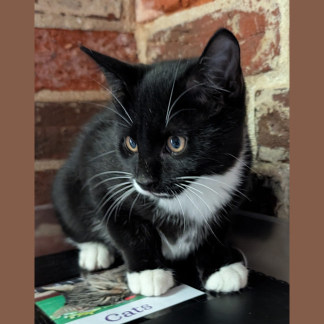 Photo of Buster