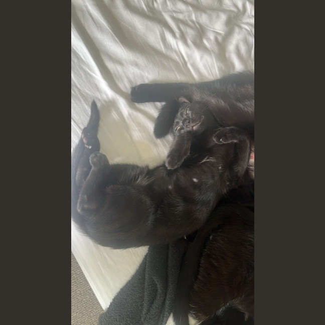 Photo of Missy