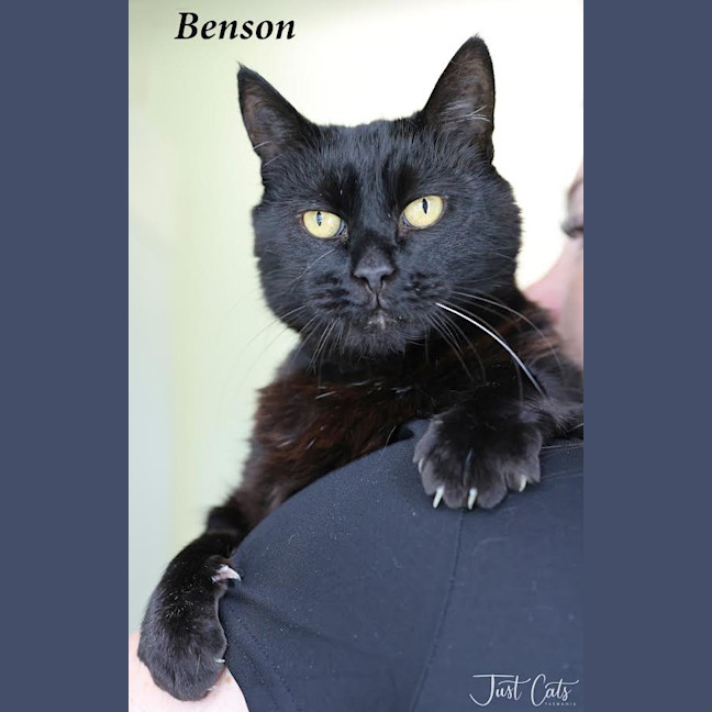 Photo of Benson