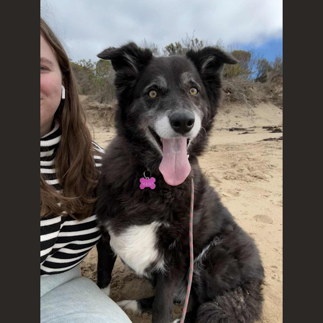 Photo of Susie
