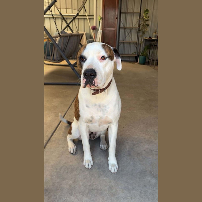 Photo of Thor