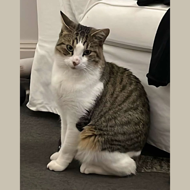 Photo of Lord Remington