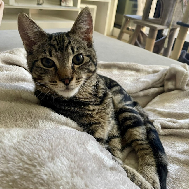 Photo of Sake And Soju