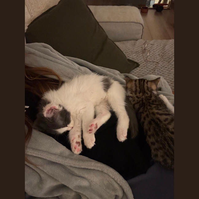 Photo of Albi & Atlas 