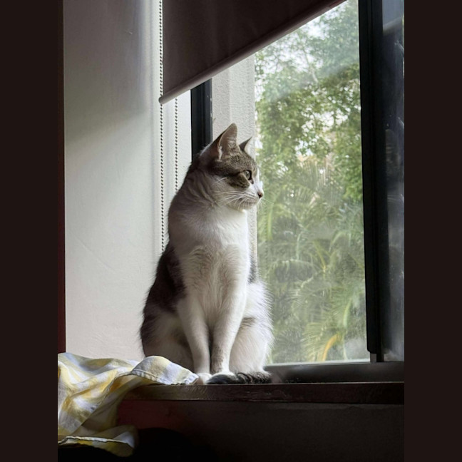 Photo of Bianca