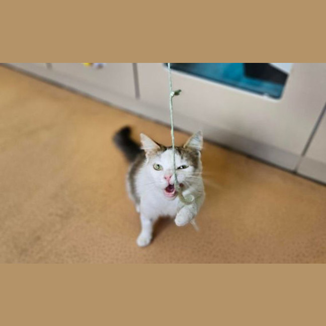 Photo of Maeve