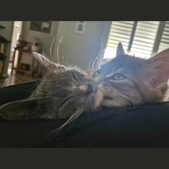 Photo of Tasha