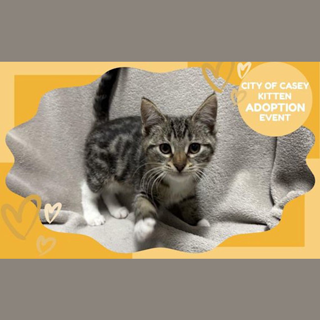 Photo of Kelly