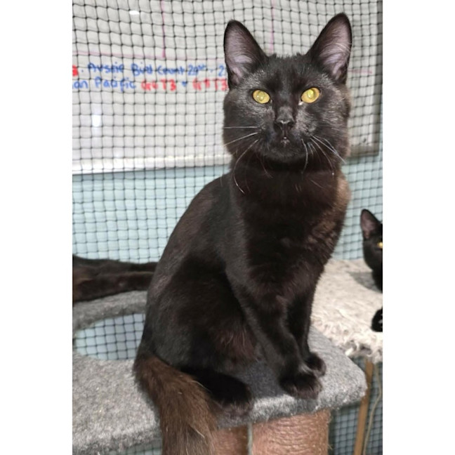 Photo of 13622   Reef