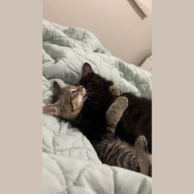 Photo of Odie N Dawn