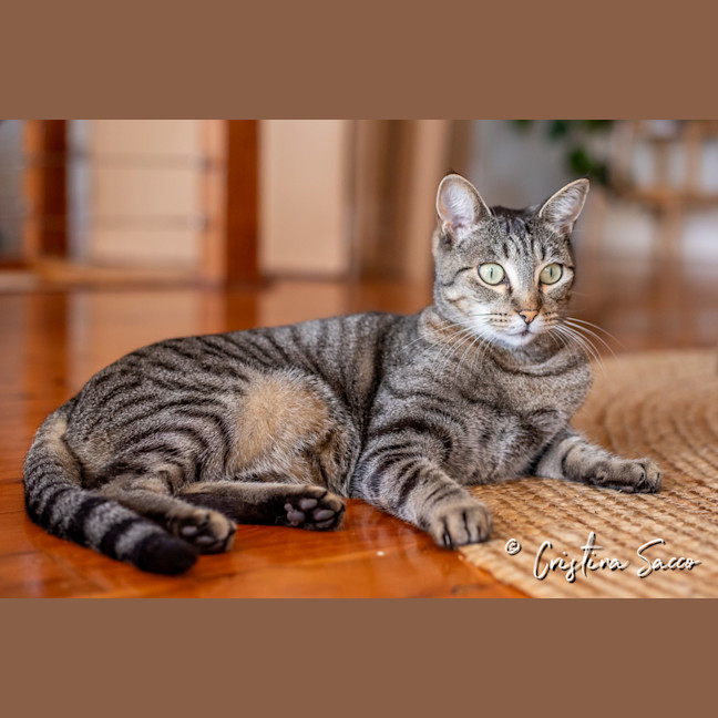 Photo of Missy
