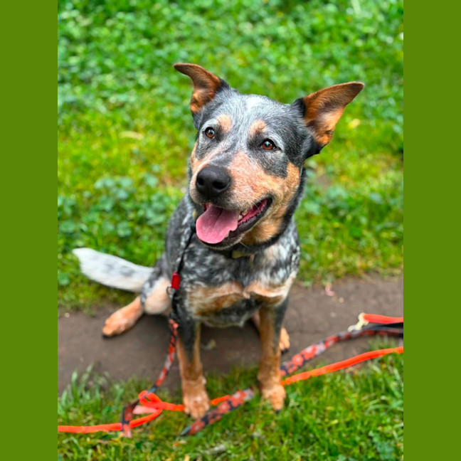 Photo of Wally 