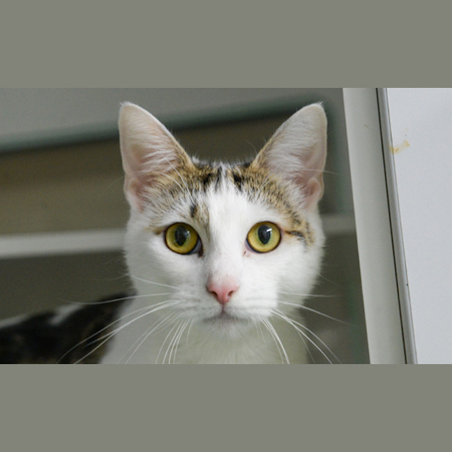 Photo of Dolly Purrton
