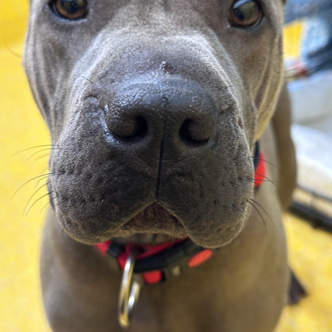 Photo of Gucci