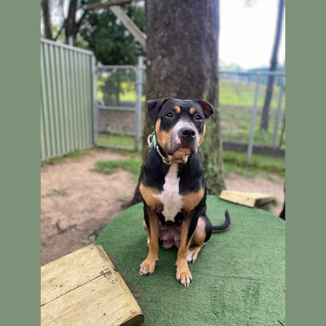 Photo of Marnie