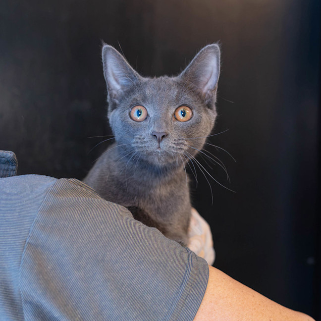 Photo of Willowmina