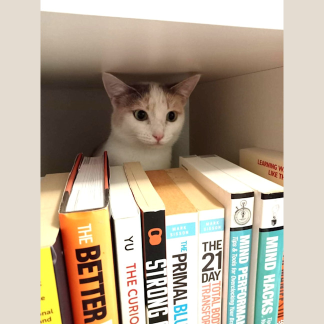 Photo of Tilly