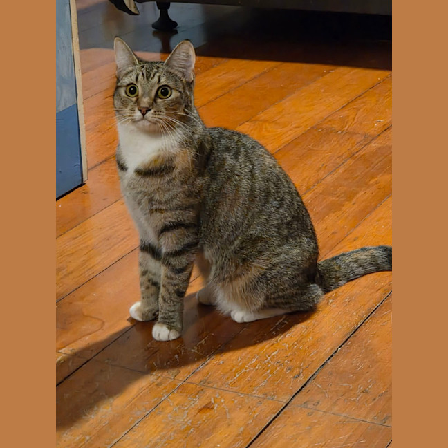 Photo of Miah
