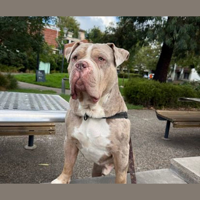 Photo of Biggie