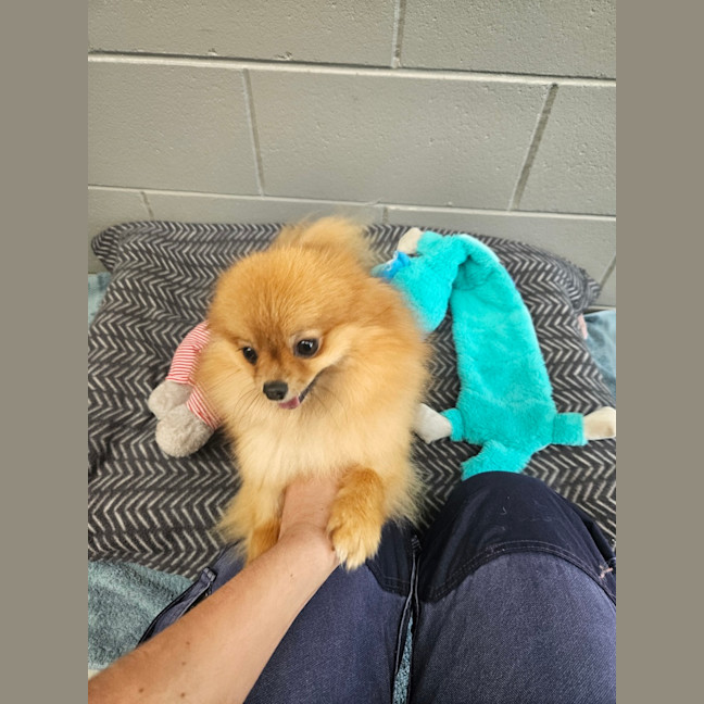 Photo of Evie