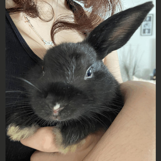 Photo of Sneezy