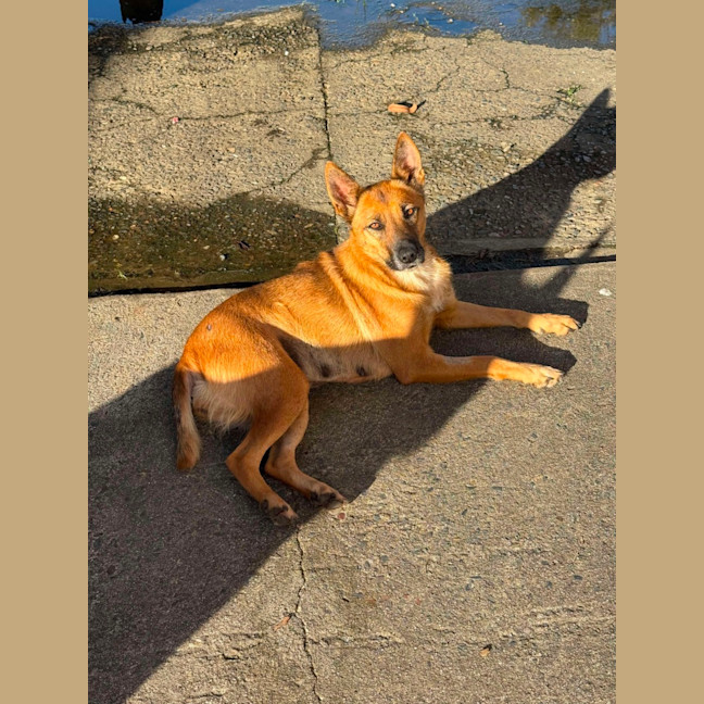 Photo of Teena