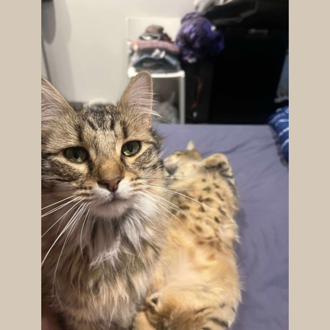 Photo of Barney & Fred