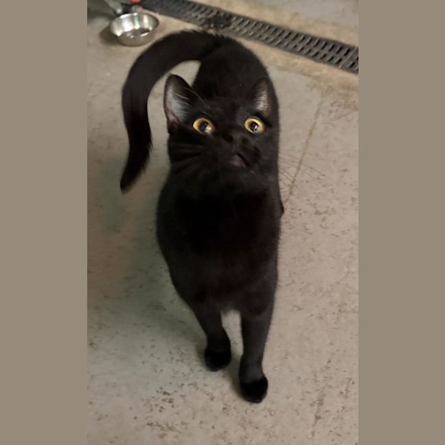 Photo of Taco