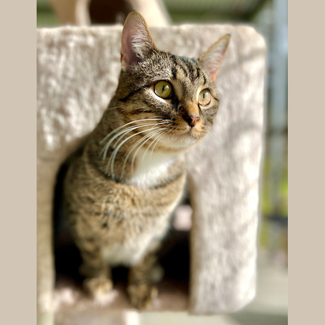 Photo of Percy