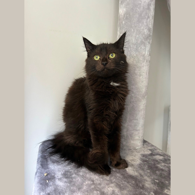 Photo of Harper 🩷 