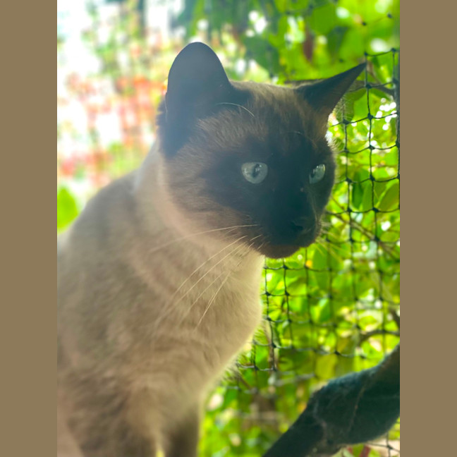 Photo of Franklin