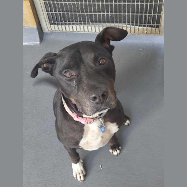 Photo of Denzel Woofington